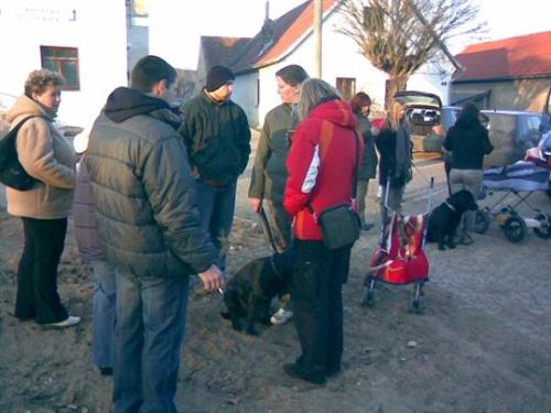 Sváteční odpoledne 1